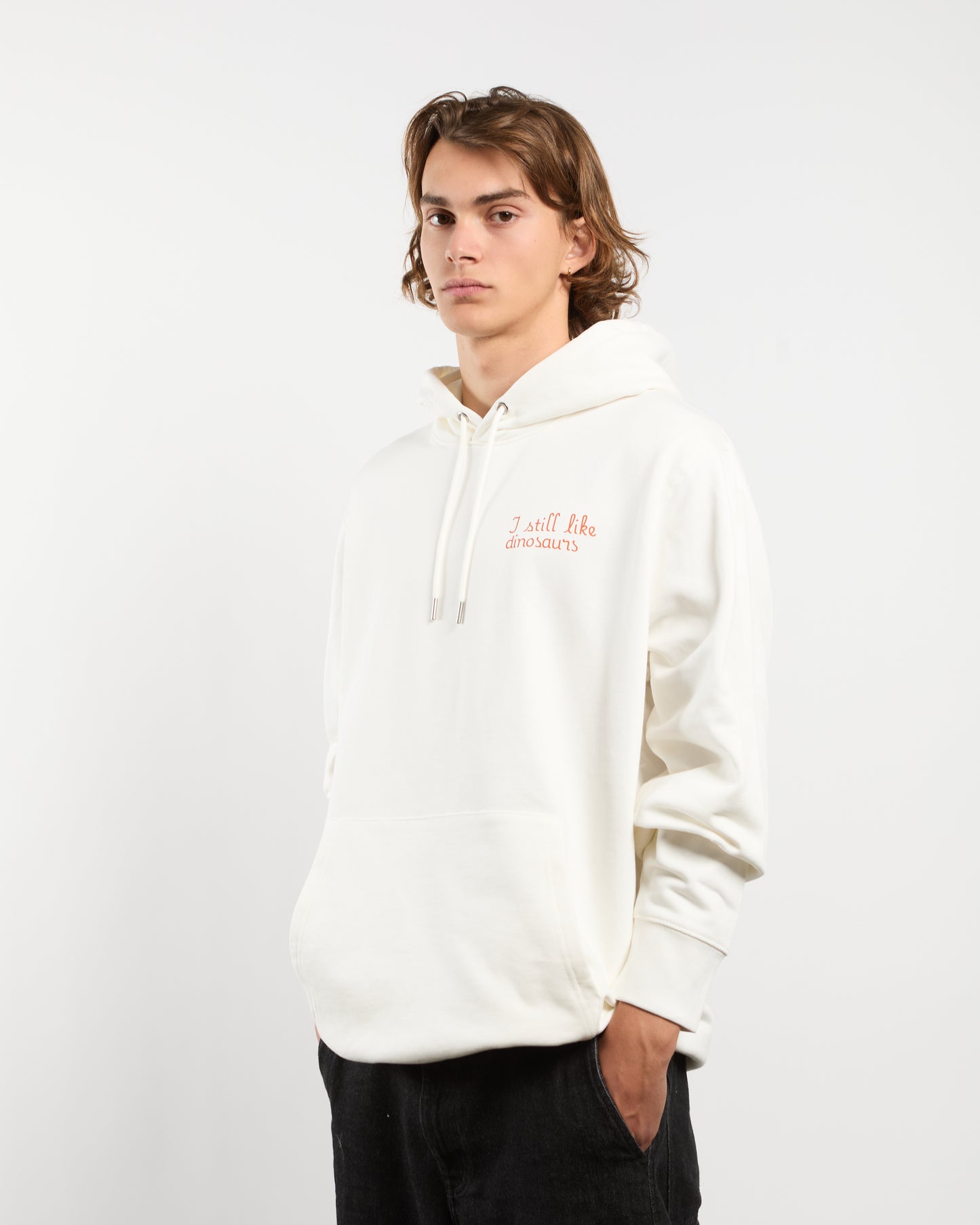 Hoodie - I still like dinosaurs