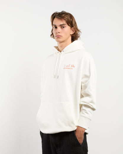 Hoodie - I still like dinosaurs